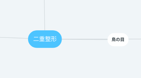 Mind Map: 二重整形