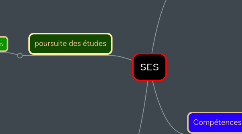 Mind Map: SES