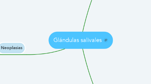 Mind Map: Glándulas salivales