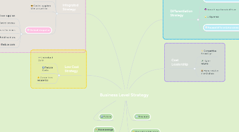 Mind Map: Business Level Strategy