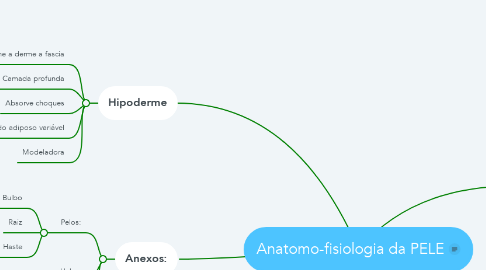 Mind Map: Anatomo-fisiologia da PELE