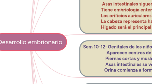 Mind Map: Desarrollo embrionario