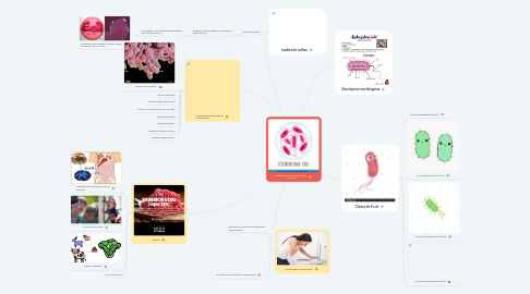 Mind Map: Escherichia coli enteropatógena O157:H16