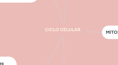 Mind Map: CICLO CELULAR