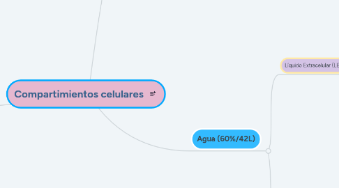 Mind Map: Compartimientos celulares