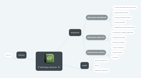 Mind Map: 3 месяца жизни