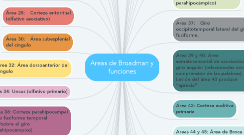Mind Map: Areas de Broadman y funciones