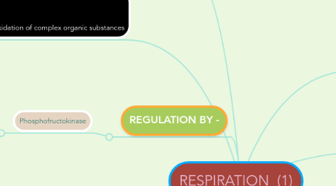 Mind Map: RESPIRATION (1)