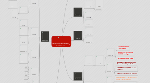 Mind Map: Reconnaître & Différencier les principaux vins