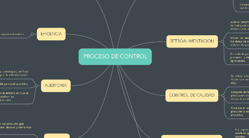Mind Map: PROCESO DE CONTROL