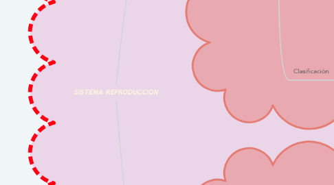 Mind Map: SISTEMA REPRODUCCION