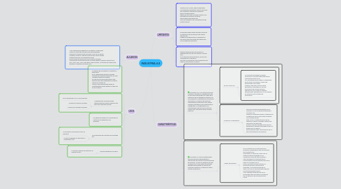 Mind Map: INDUSTRIA 4.0