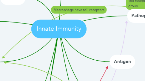 Mind Map: Innate Immunity