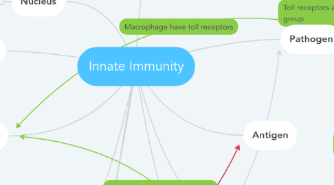 Mind Map: Innate Immunity