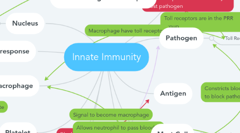 Mind Map: Innate Immunity