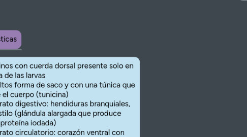 Mind Map: Clasificación taxonómica