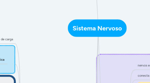 Mind Map: Sistema Nervoso