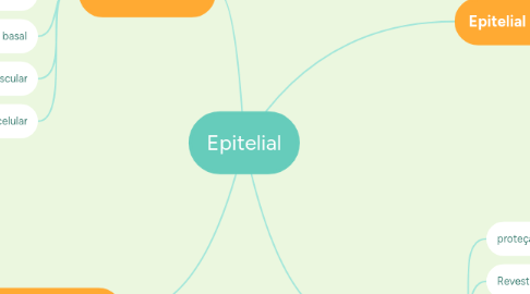 Mind Map: Epitelial