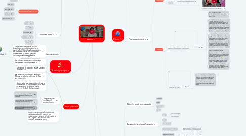 Mind Map: Moodz