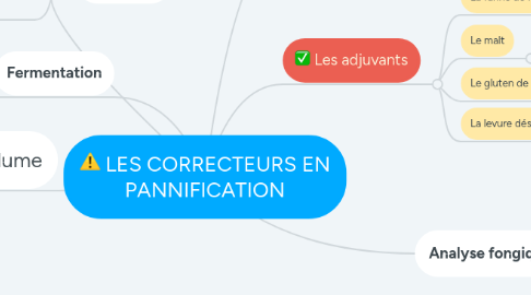 Mind Map: LES CORRECTEURS EN PANNIFICATION