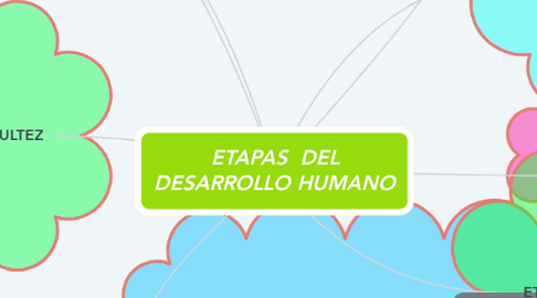 Mind Map: ETAPAS  DEL DESARROLLO HUMANO