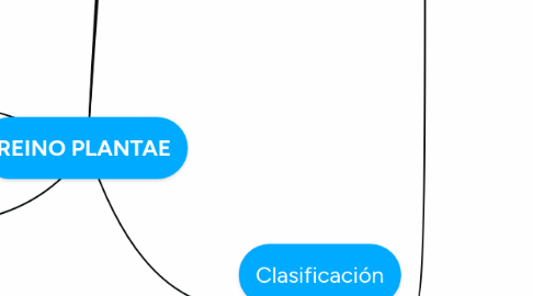 Mind Map: REINO PLANTAE