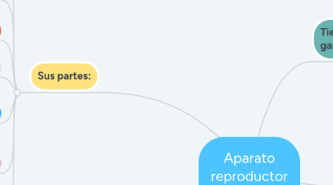 Mind Map: Aparato reproductor masculino