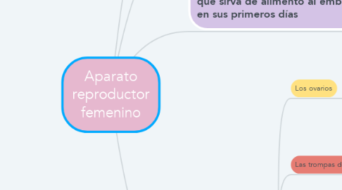 Mind Map: Aparato reproductor femenino