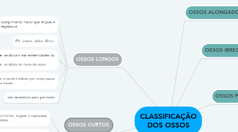 Mind Map: CLASSIFICAÇÃO DOS OSSOS