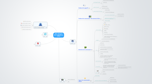 Mind Map: Hôtel - Restaurant Boite à idées Réseaux sociaux