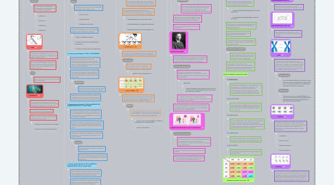 Mind Map: PRINCIPIOS DE LA HERENCIA GENÉTICA