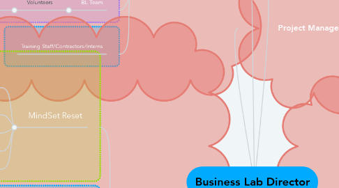 Mind Map: Business Lab Director