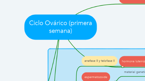 Mind Map: Ciclo Ovárico (primera semana)