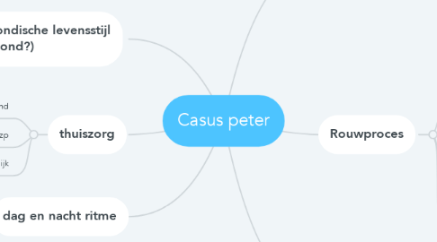 Mind Map: Casus peter