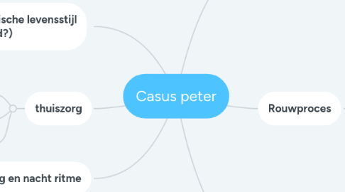 Mind Map: Casus peter