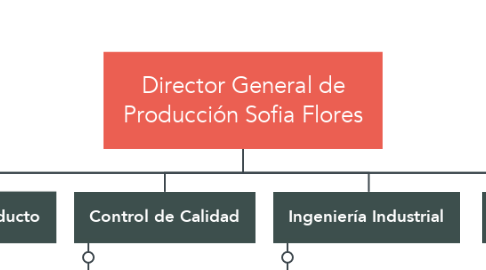 Mind Map: Director General de Producción Sofia Flores