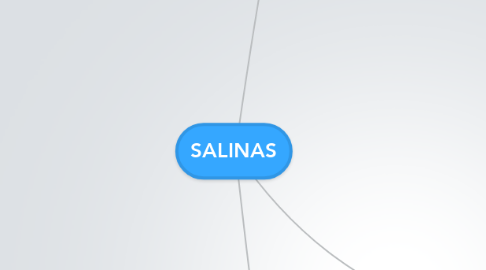 Mind Map: SALINAS
