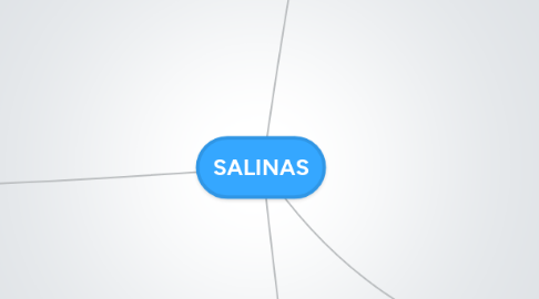 Mind Map: SALINAS