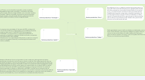 Mind Map: Finca los Pirineos