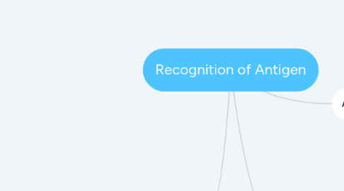 Mind Map: Recognition of Antigen