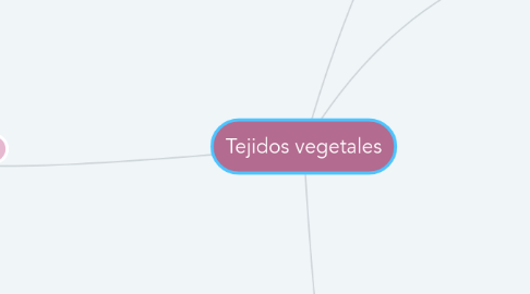 Mind Map: Tejidos vegetales