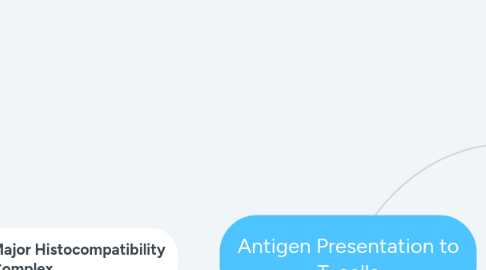 Mind Map: Antigen Presentation to T-cells