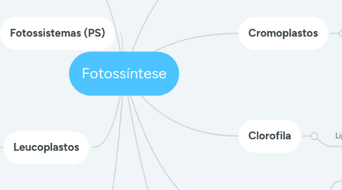 Mind Map: Fotossíntese