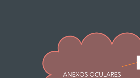 Mind Map: ANEXOS OCULARES