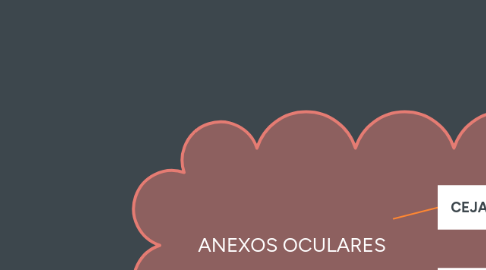 Mind Map: ANEXOS OCULARES