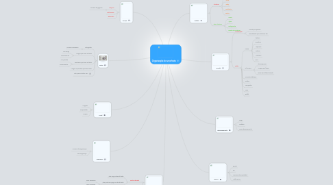 Mind Map: Organização de uma festa