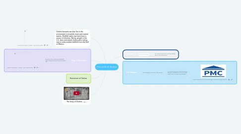 Mind Map: The cycle of cholera