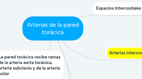 Mind Map: Arterias de la pared torácica