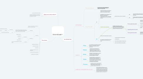 Mind Map: CICLO CELULAR