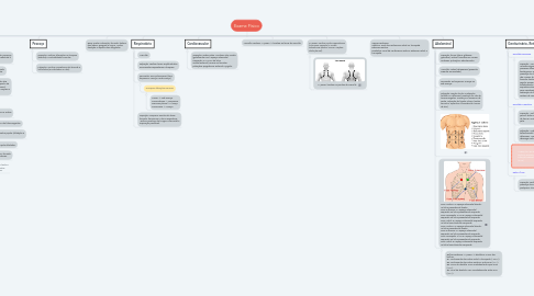 Mind Map: Exame Físico